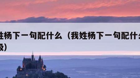 我姓杨下一句配什么（我姓杨下一句配什么一年级）