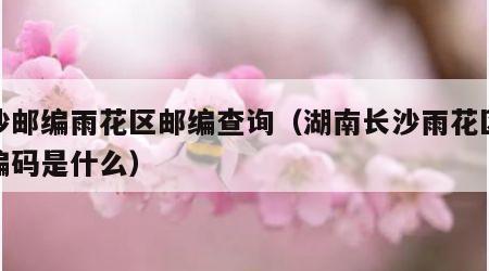 长沙邮编雨花区邮编查询（湖南长沙雨花区邮政编码是什么）