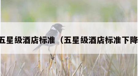 五星级酒店标准（五星级酒店标准下降）