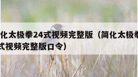 简化太极拳24式视频完整版（简化太极拳24式视频完整版口令）