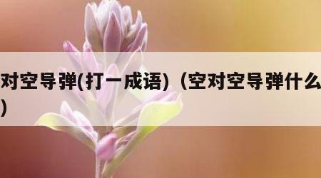 空对空导弹(打一成语)（空对空导弹什么意思）