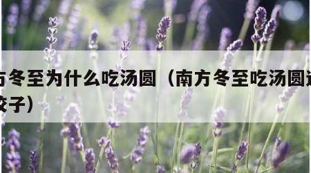 南方冬至为什么吃汤圆（南方冬至吃汤圆还是吃饺子）