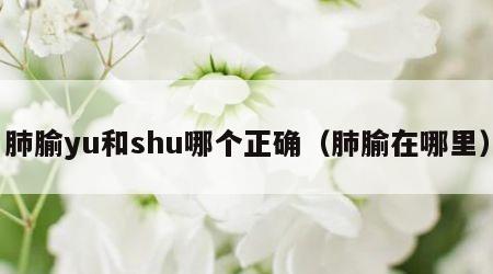 肺腧yu和shu哪个正确（肺腧在哪里）