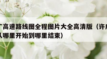 许广高速路线图全程图片大全高清版（许广高速从哪里开始到哪里结束）