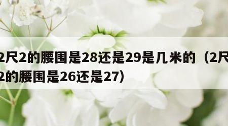 2尺2的腰围是28还是29是几米的（2尺2的腰围是26还是27）