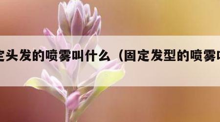 固定头发的喷雾叫什么（固定发型的喷雾叫什么）