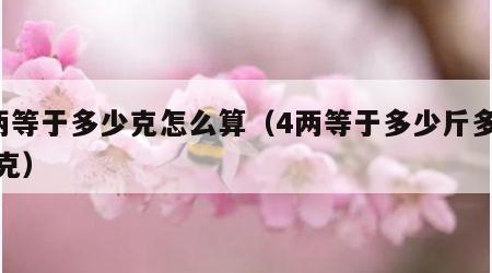 4两等于多少克怎么算（4两等于多少斤多少千克）