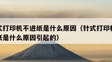 针式打印机不进纸是什么原因（针式打印机不进纸是什么原因引起的）