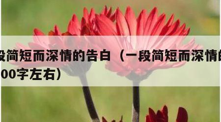 一段简短而深情的告白（一段简短而深情的告白100字左右）