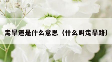 走旱道是什么意思（什么叫走旱路）