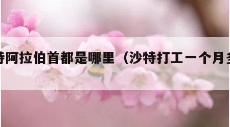 沙特阿拉伯首都是哪里（沙特打工一个月多少钱）