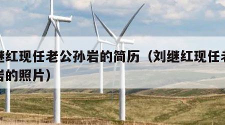 刘继红现任老公孙岩的简历（刘继红现任老公孙岩的照片）