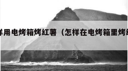 怎样用电烤箱烤红薯（怎样在电烤箱里烤红薯）