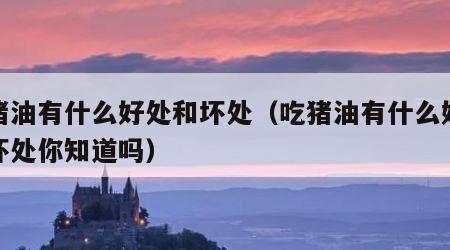 吃猪油有什么好处和坏处（吃猪油有什么好处和坏处你知道吗）