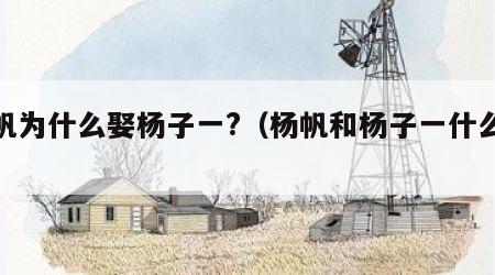 杨帆为什么娶杨子一?（杨帆和杨子一什么关系）