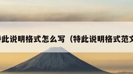 特此说明格式怎么写（特此说明格式范文）