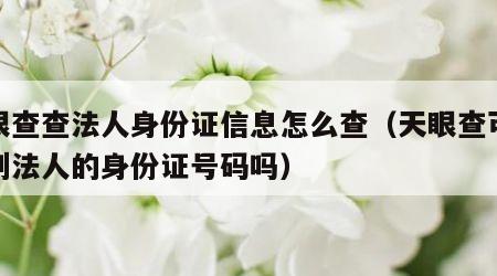 天眼查查法人身份证信息怎么查（天眼查可以查到法人的身份证号码吗）
