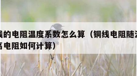 铜线的电阻温度系数怎么算（铜线电阻随温度升高电阻如何计算）