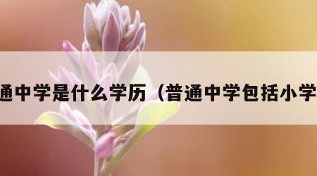 普通中学是什么学历（普通中学包括小学吗）