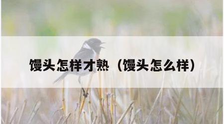 馒头怎样才熟（馒头怎么样）
