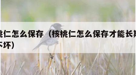 核桃仁怎么保存（核桃仁怎么保存才能长期存放不坏）