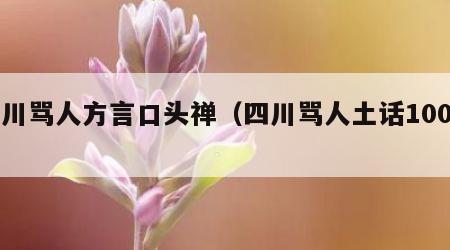 四川骂人方言口头禅（四川骂人土话100句）