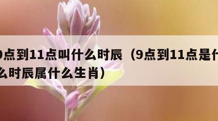 9点到11点叫什么时辰（9点到11点是什么时辰属什么生肖）