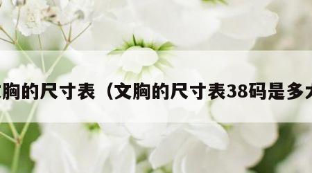 文胸的尺寸表（文胸的尺寸表38码是多大）