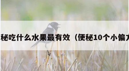 便秘吃什么水果最有效（便秘10个小偏方）