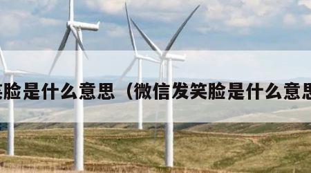 笑脸是什么意思（微信发笑脸是什么意思）