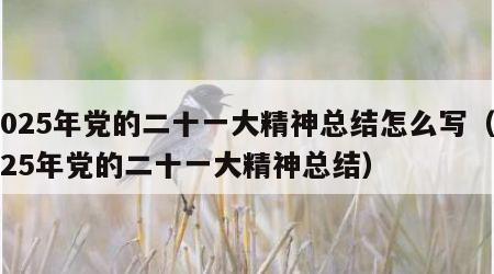 2025年党的二十一大精神总结怎么写（2025年党的二十一大精神总结）