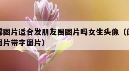 倒霉图片适合发朋友圈图片吗女生头像（倒霉的图片带字图片）