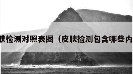 皮肤检测对照表图（皮肤检测包含哪些内容）