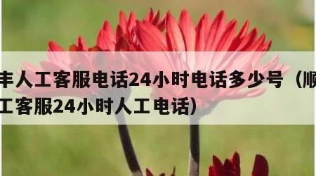 顺丰人工客服电话24小时电话多少号（顺丰人工客服24小时人工电话）