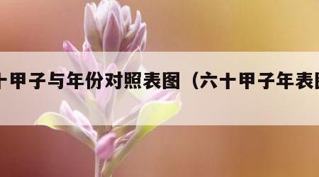 六十甲子与年份对照表图（六十甲子年表图片）