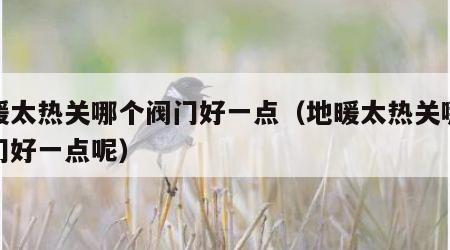 地暖太热关哪个阀门好一点（地暖太热关哪个阀门好一点呢）