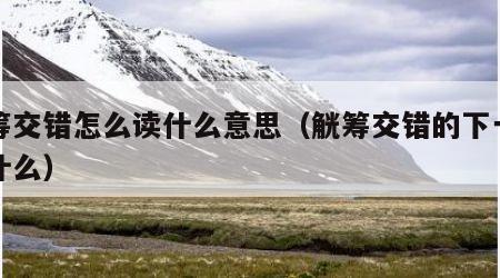 觥筹交错怎么读什么意思（觥筹交错的下一句是什么）