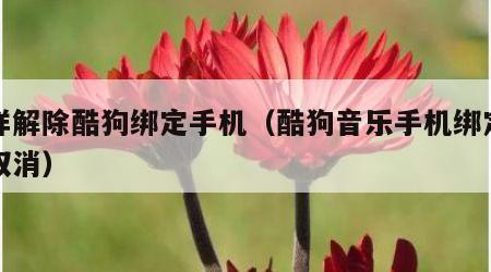 怎样解除酷狗绑定手机（酷狗音乐手机绑定怎么取消）