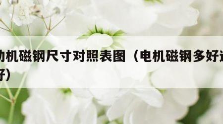 电动机磁钢尺寸对照表图（电机磁钢多好还是少好）