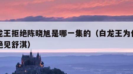 白龙王拒绝陈晓旭是哪一集的（白龙王为什么拒绝见舒淇）