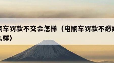电瓶车罚款不交会怎样（电瓶车罚款不缴纳会怎么样）