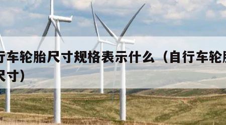 自行车轮胎尺寸规格表示什么（自行车轮胎常见尺寸）