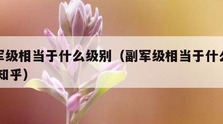 副军级相当于什么级别（副军级相当于什么级别 知乎）