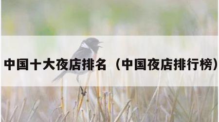 中国十大夜店排名（中国夜店排行榜）