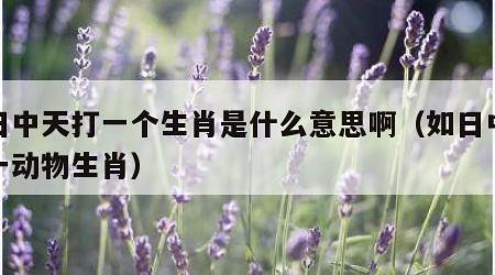 如日中天打一个生肖是什么意思啊（如日中天打一动物生肖）