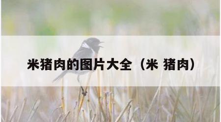 米猪肉的图片大全（米 猪肉）