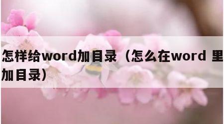 怎样给word加目录（怎么在word 里加目录）