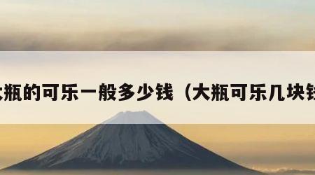 大瓶的可乐一般多少钱（大瓶可乐几块钱）