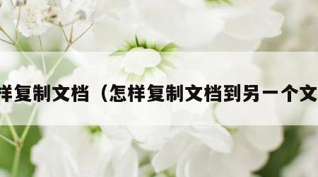 怎样复制文档（怎样复制文档到另一个文档）