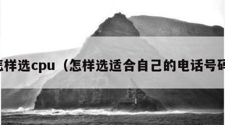 怎样选cpu（怎样选适合自己的电话号码）